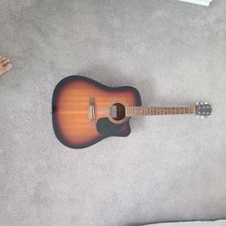 Johnson Acoustic Guitar 