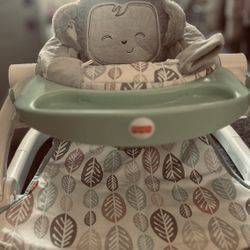 Fisher-Price Portable Booster Seat
