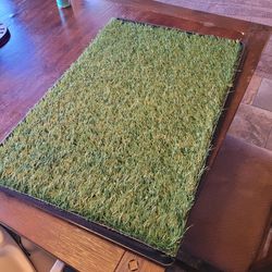 Pet Potty Grass