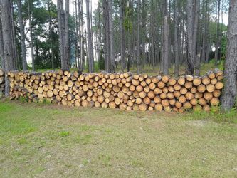 PINE