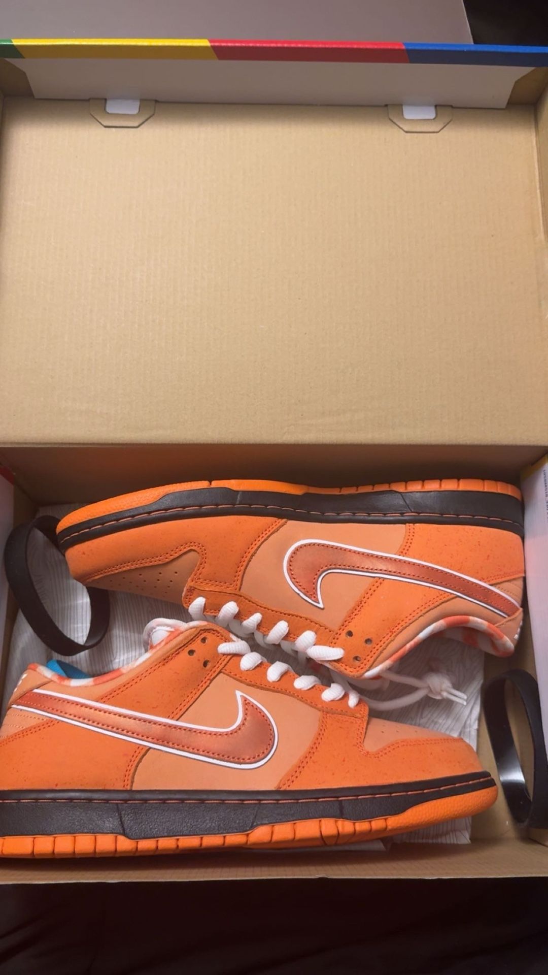 Nike Dunk Low Sb Size 9.5