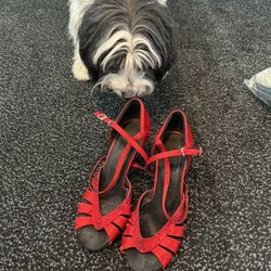 Shine Dance Shoes - Red Size 5