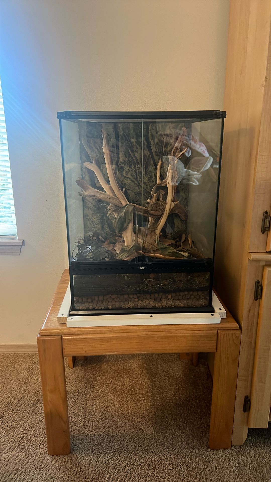 Exo-Terra 18x18x24 Glass Terrarium