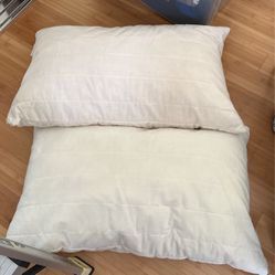 Two Ikea Pillows