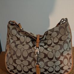Brown Shoulder Bag 