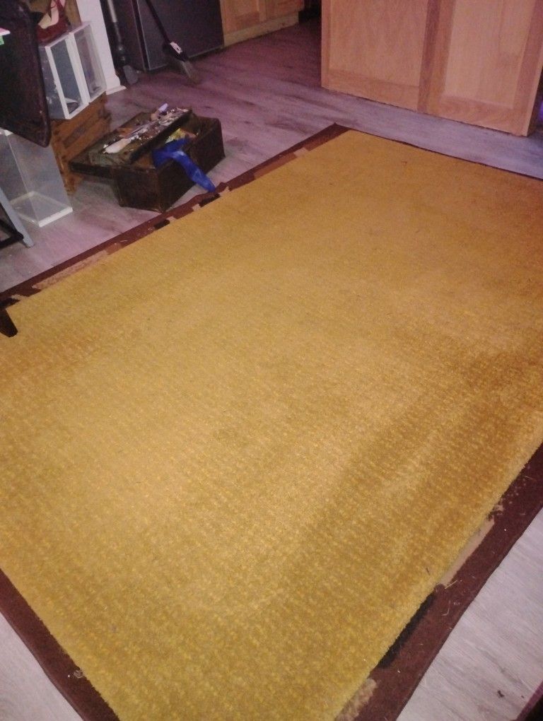 5 Ft. By 7 Ft Indoor Rug