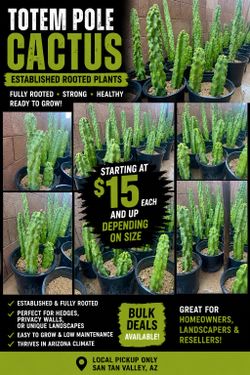 Totem pole cactus