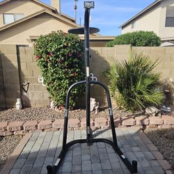 Everlast punching bag holder and speed bag.