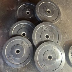 Olympic Weights Bumper Plates 
