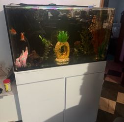 Rimless 65 gallon with lid, lights, fish, decor and white stand