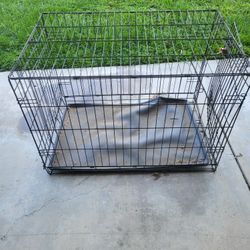 Dog Kennel 