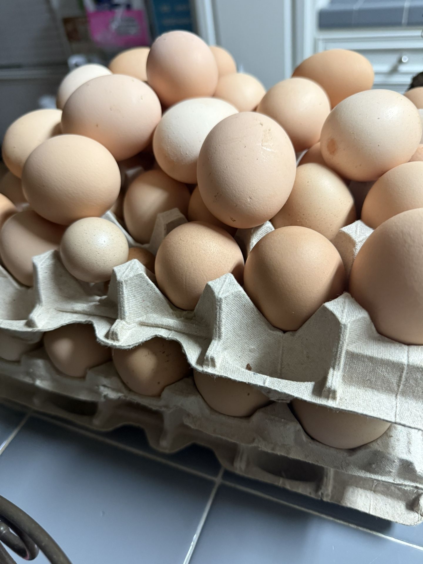 Organic Eggs From Chickens 