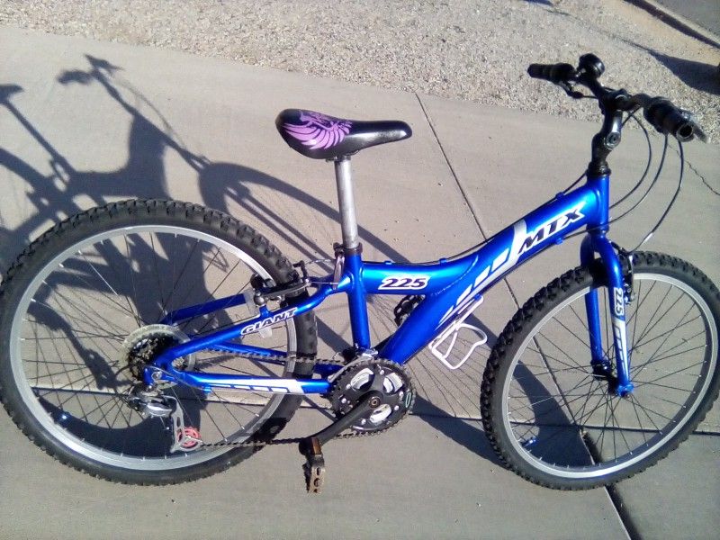 Metallic blue Giant MTX 225 mountain trail bike for Young riders! - $127 (Tucson)