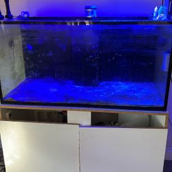 50 Gallon Salt Water Tank (only) Need It Gone ASAP!!!!