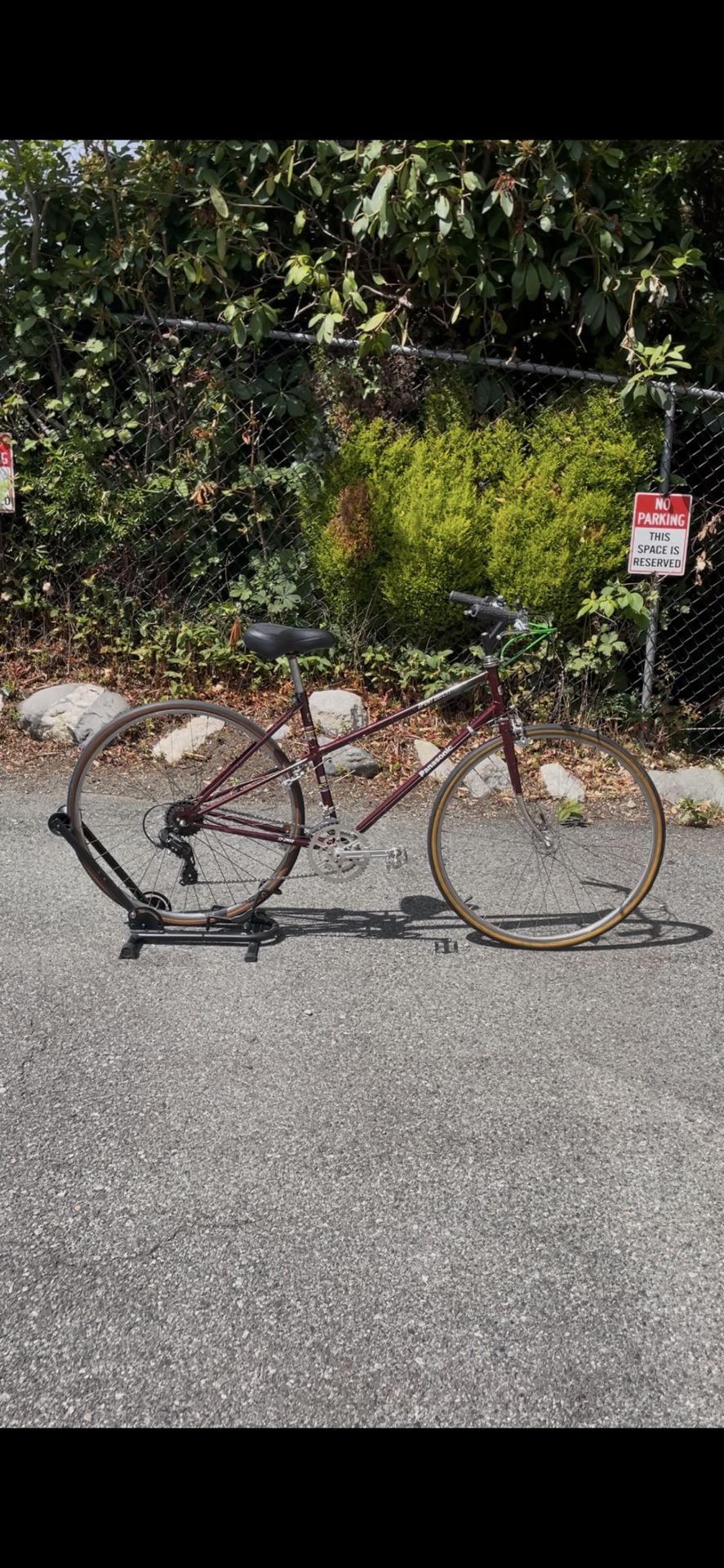 Panasonic Sport Deluxe (12spd, 80s, Made In Japan, 19” size)