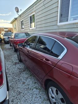 2008 honda accords