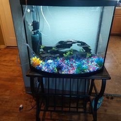 36 Gallon Fish Tank Holds Water 