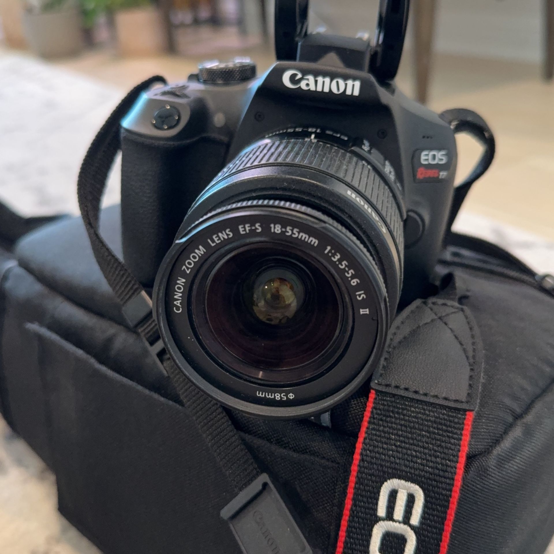 Canon EOS Rebel T7 EF-S