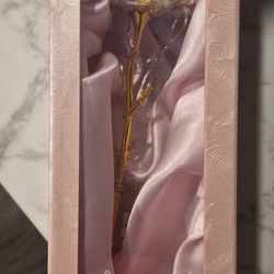 Colorful Galaxy Roses