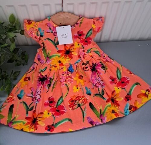 Baby Girl 0-3 Months BNWT Next Thick Supersoft Dress