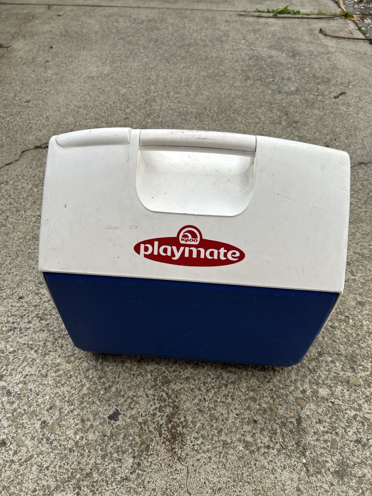 Igloo Playmate Lunch Cooler