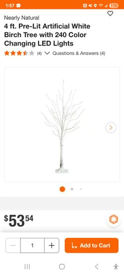 4' Birch Tree