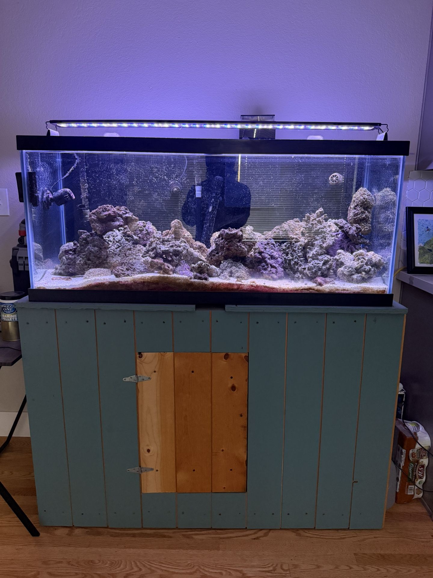 75-Gallon Saltwater Fish Tank