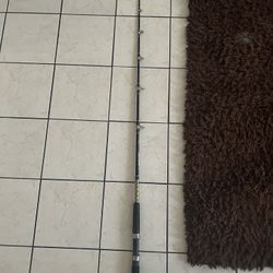 7foot Tidewater Shakespeare Boat Rod