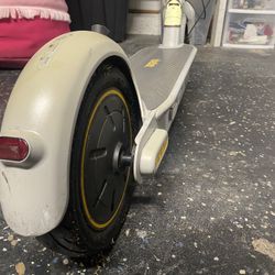 Ninebot Kickscooter Max