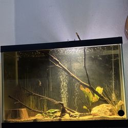 75 gallon fish tank with everything