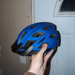 Schwinn Bike Helmet FREE
