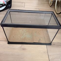 10 Gallon Terrarium/aquarium 