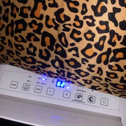 Portable Air Conditioner 