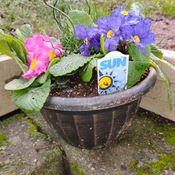 10' Winter Flower Bowl