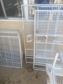 Large bird cage