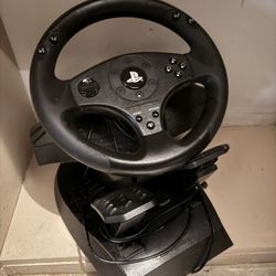 Thrustmaster Steering Wheel 