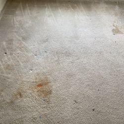 Carpet