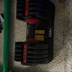 2 45 Cast Iron Plates And Adjustable Dumbbell 