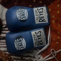 8 Oz Cleto Reyes Blue Fight Night 