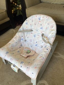 Baby   Bouncer