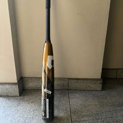 Baseball Bat