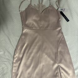 Nude Pink Dress