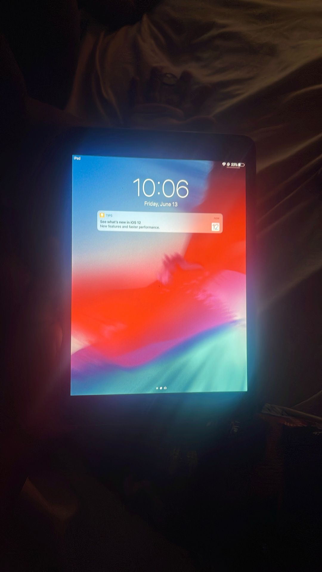 iPad