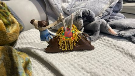 indian camel