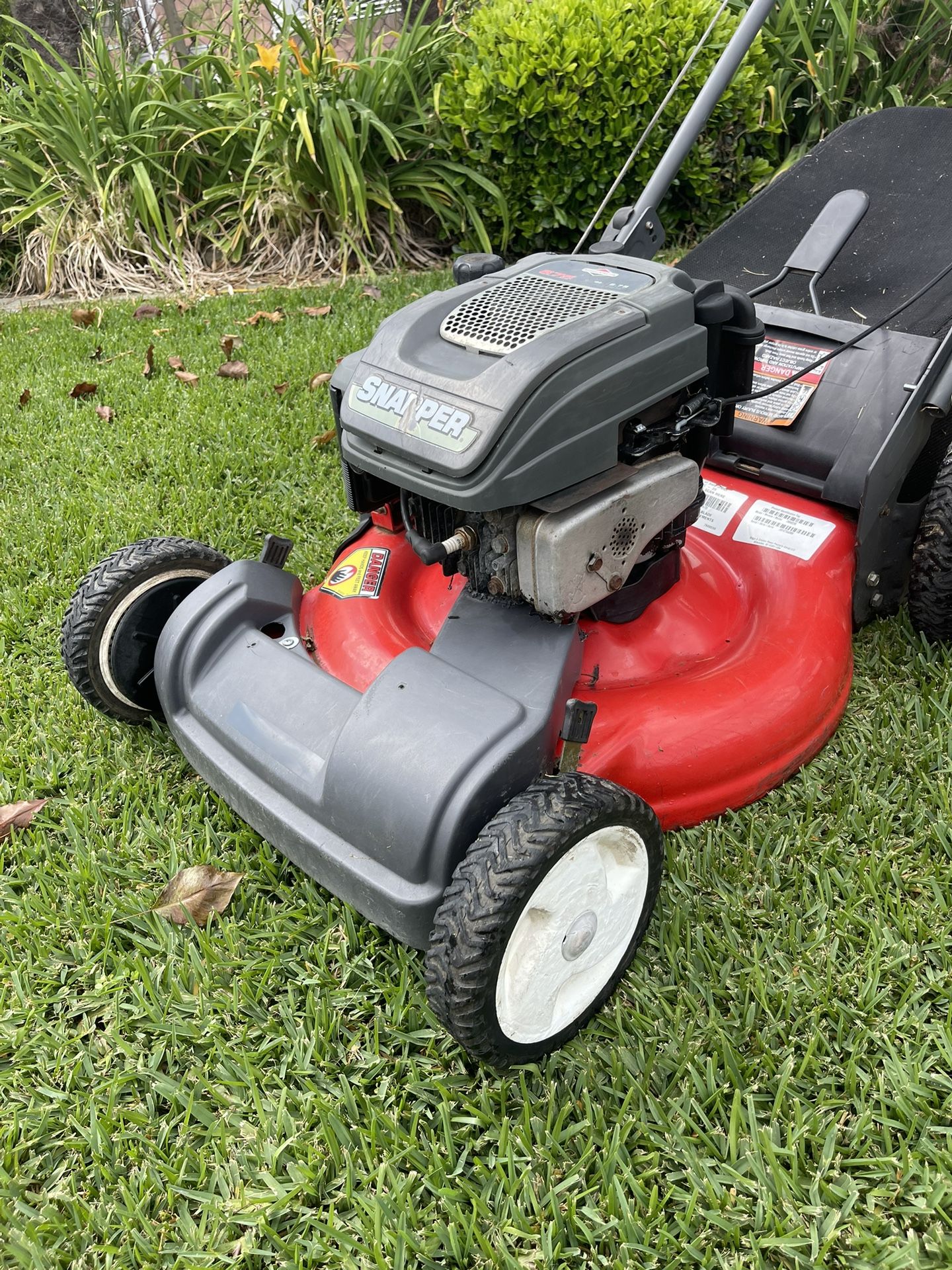 Lawn Mower Snapper