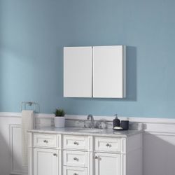 OVE Galway 24 in W x 30 in H Frameless Rectangular Surface or Recessed Mount Medicine Cabinet
