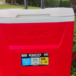 Igloo Cooler Like New 20$