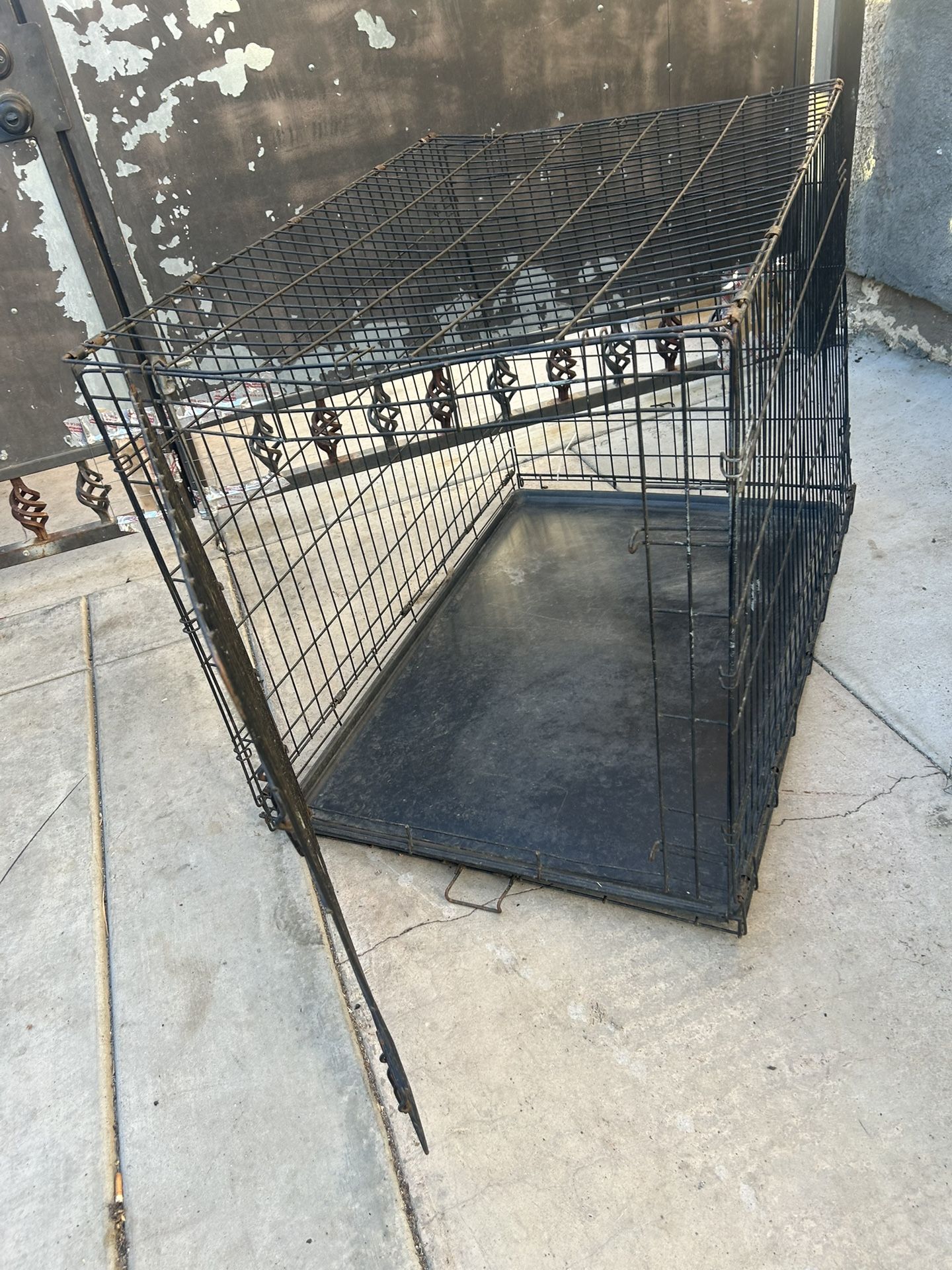 dog kennel