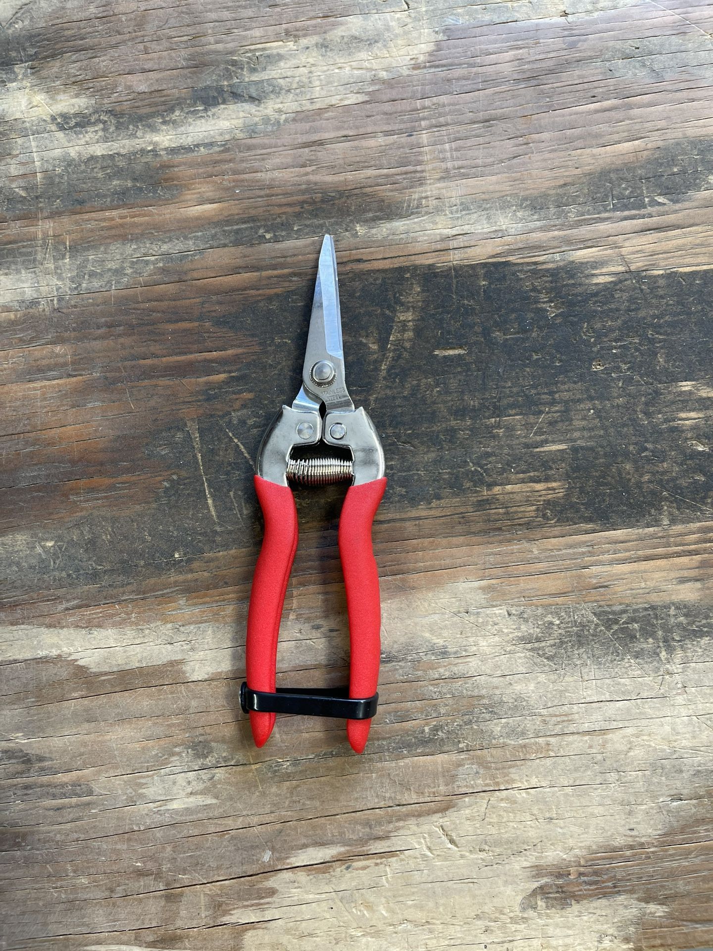 S-44 Curved Shears