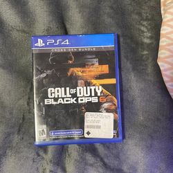 Black  ops 6